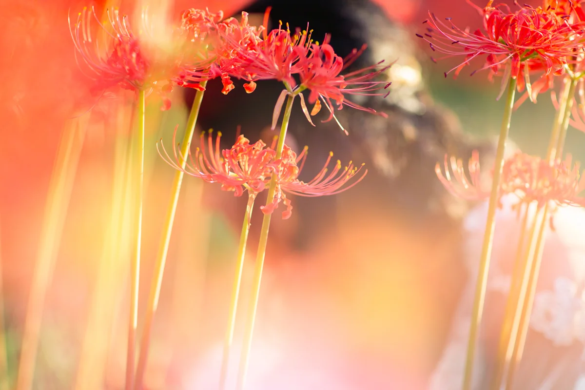 FB2C0883-Edit.jpg