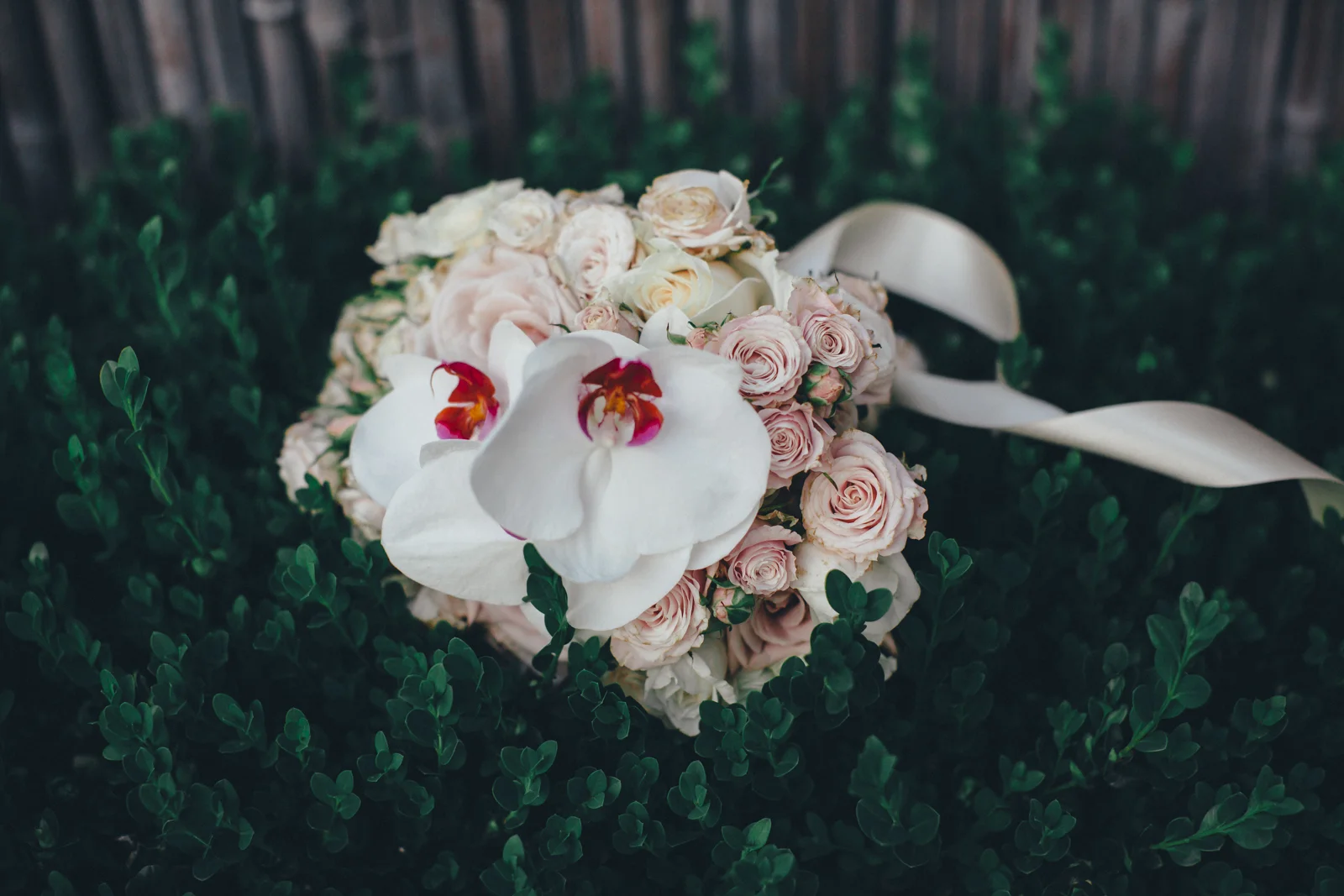 NYC Wedding Photography Sofitel Central Park Brooklyn Photographer Boris Zaretsky _B2C2710.jpg