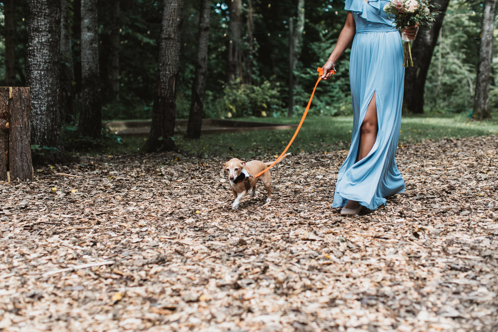 5X2A4781- marta and lee spillian hudson valley new york wedding.jpg