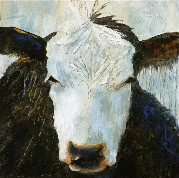Cow