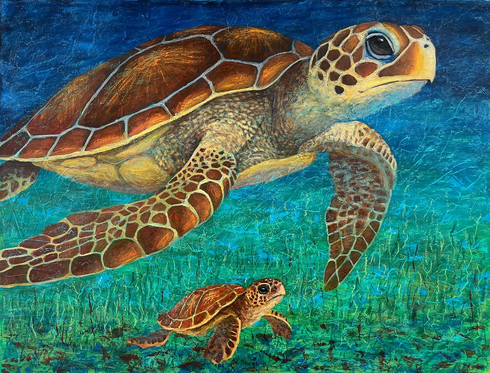 Sea Turtles