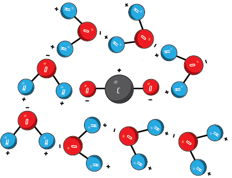 co2dissolved.png