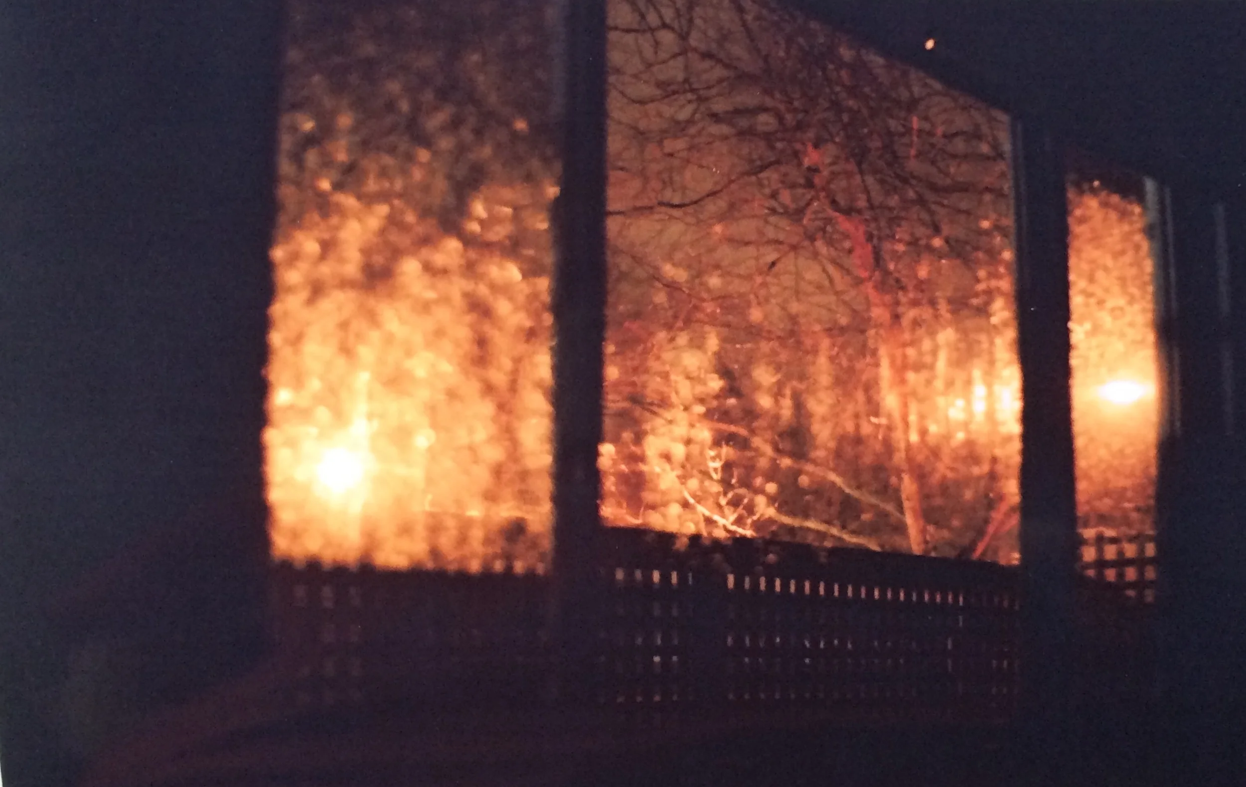 spider veins infect the sky