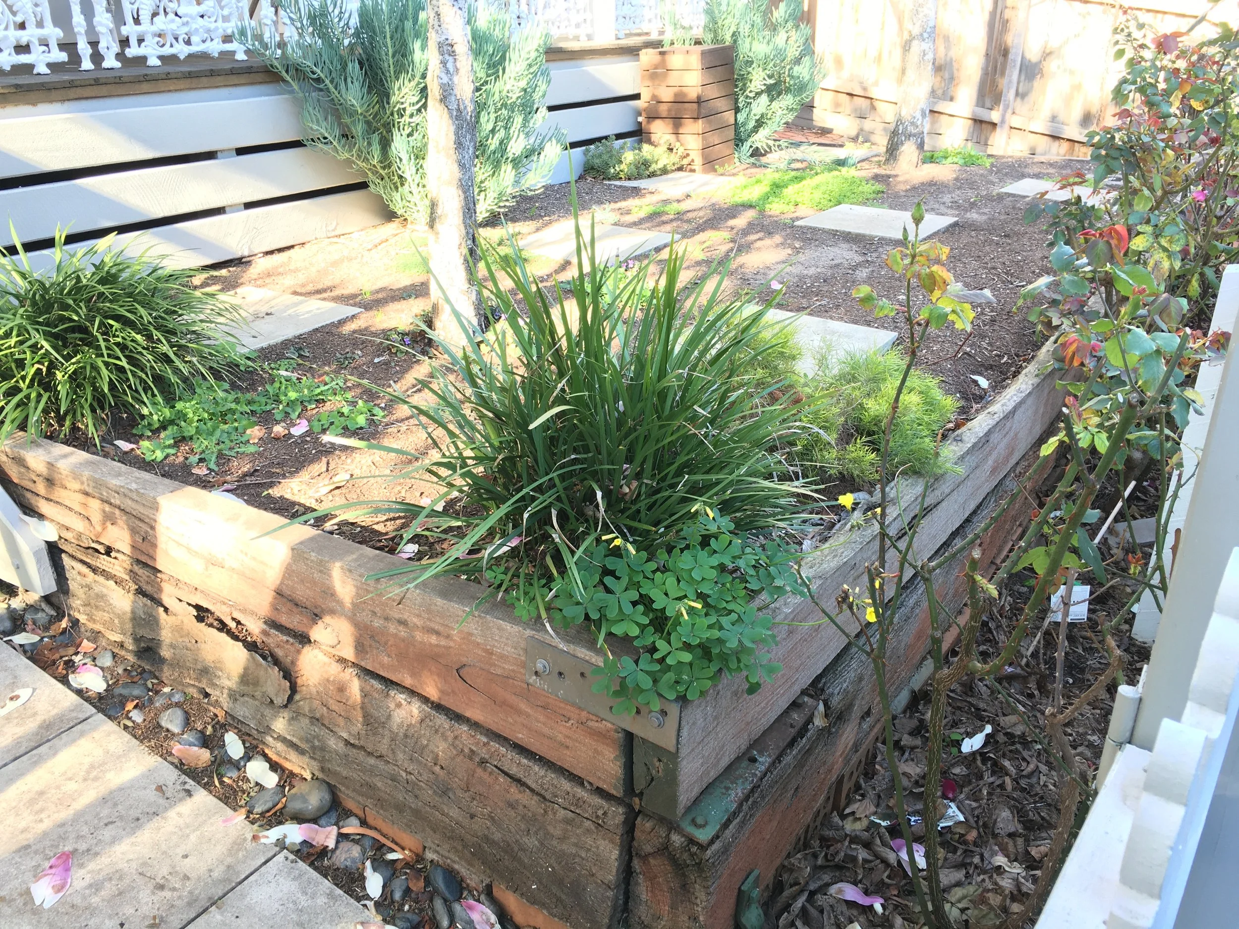 Before: The front yard and entry path had also seen better days and were in dire need of rejuvenation.