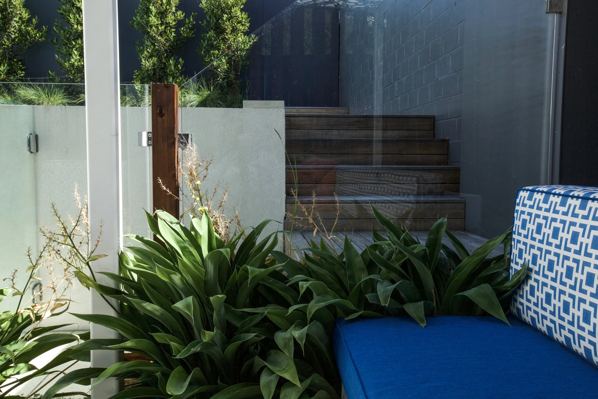 Compact timber steps make sure that space isn't wasted - and create a nice contrast and warmth to the hard landscape render and paving.