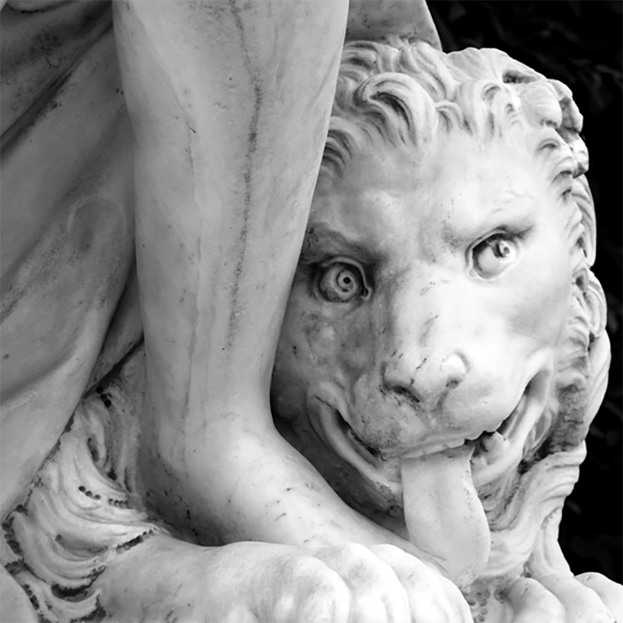 Lionceau