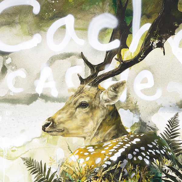 Hide & seek_thum.jpg