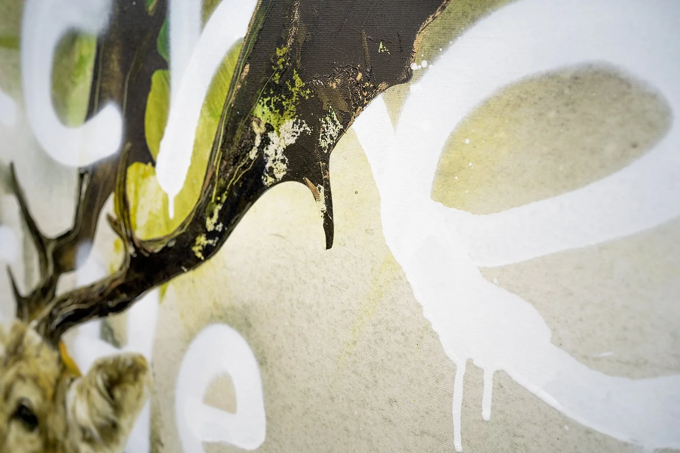 HIde and seek_02.jpg