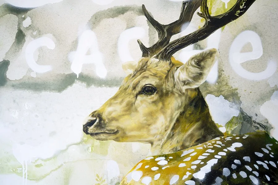 HIde and seek_02.jpg