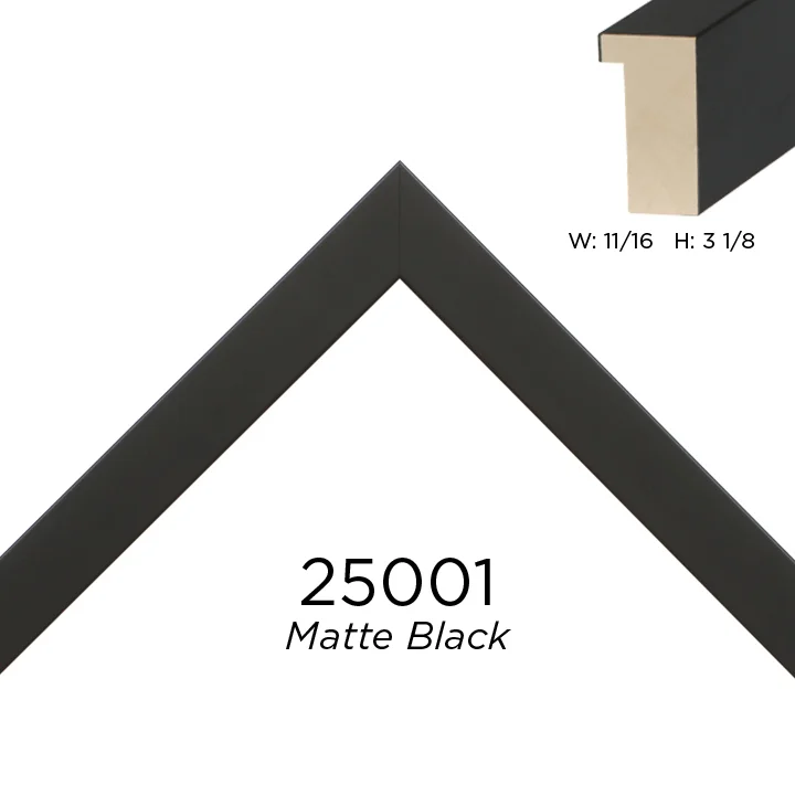Matte Black 25001.jpg