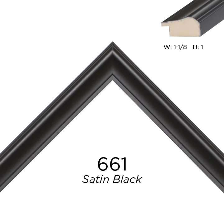 Satin Black 661.jpg