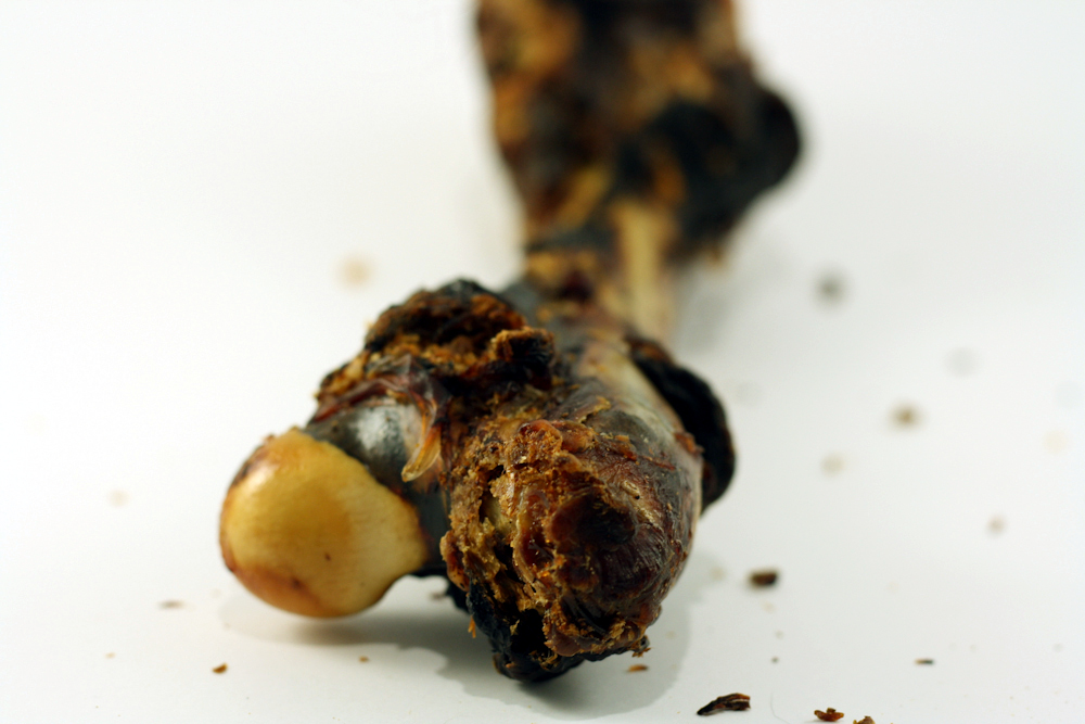 dpt-dog-bone-roo3front.jpg