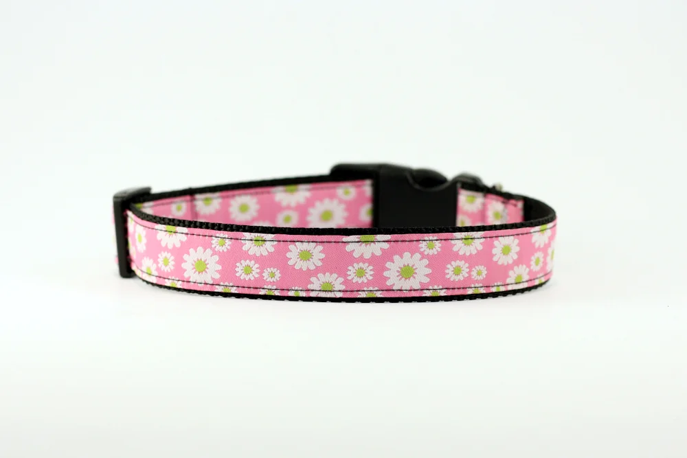 wpinkdaisies8.jpg