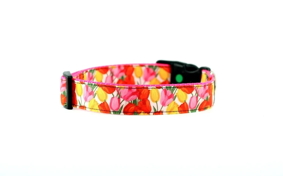 tulip dog collar