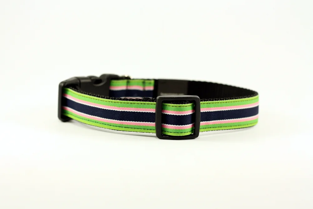 PINKANDGREENSTRIPE2.jpg