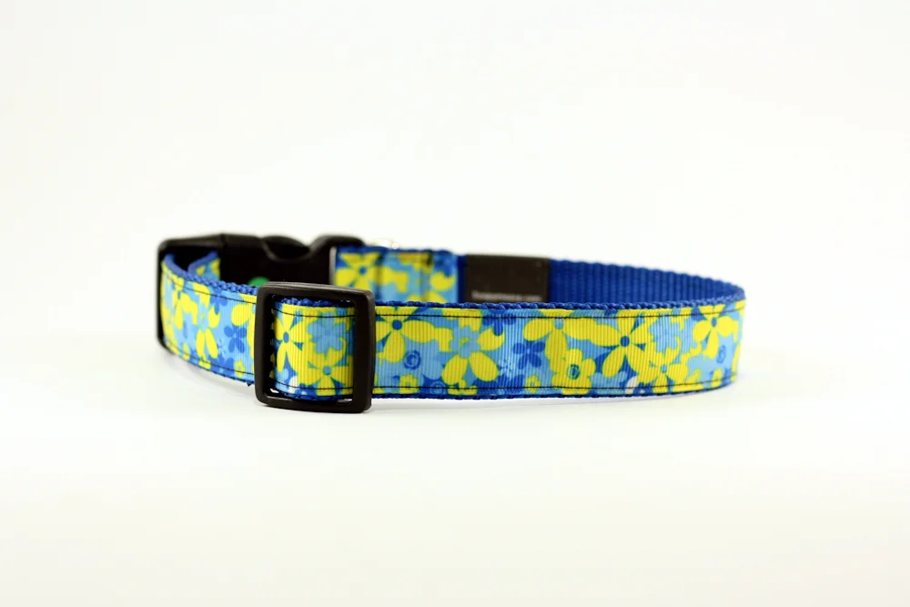 BLUEYELLOWFLOWER3.jpg