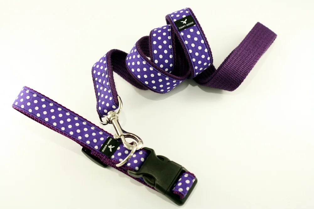 LEAD-COLLAR-purplespots.jpg