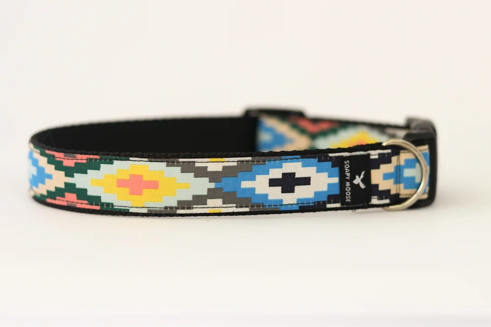 mexican dog collar