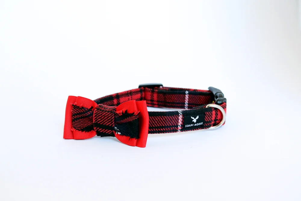 redtartanbowtie.jpg
