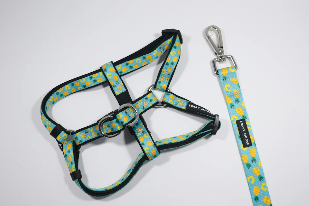 Pineapple Slices Step in style Harness