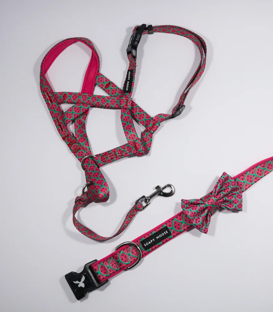 cat food on sale near me