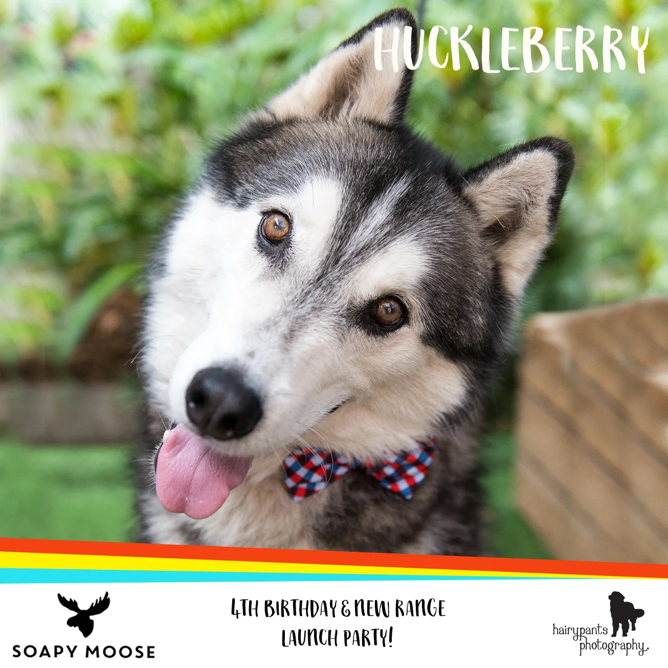 Huckleberry.jpg