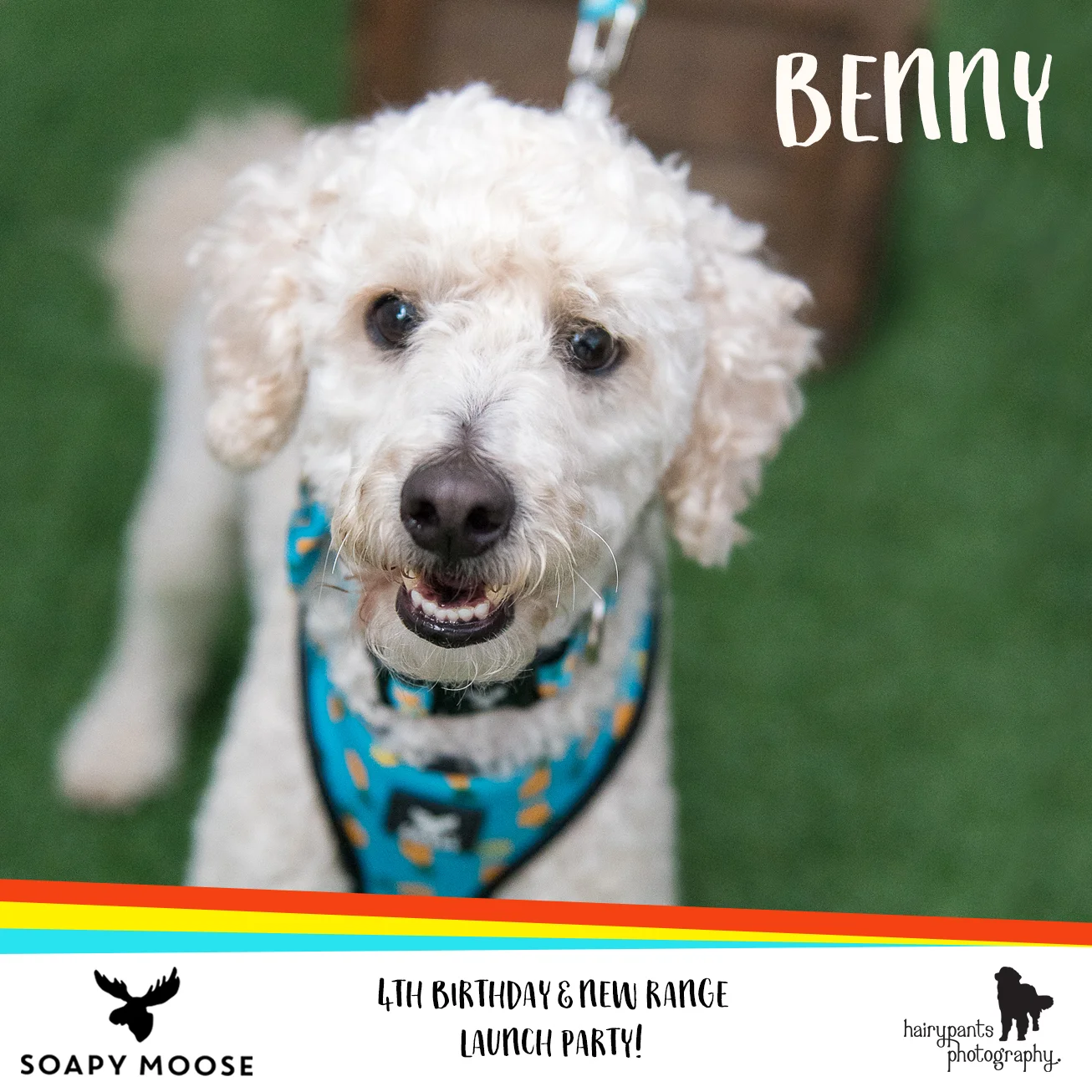 Benny.jpg