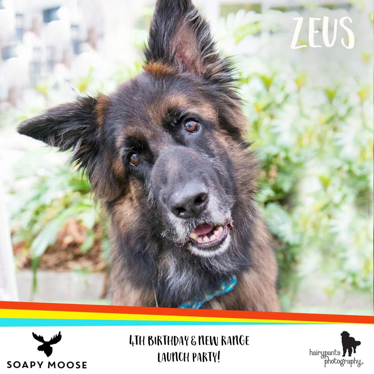Zeus.jpg