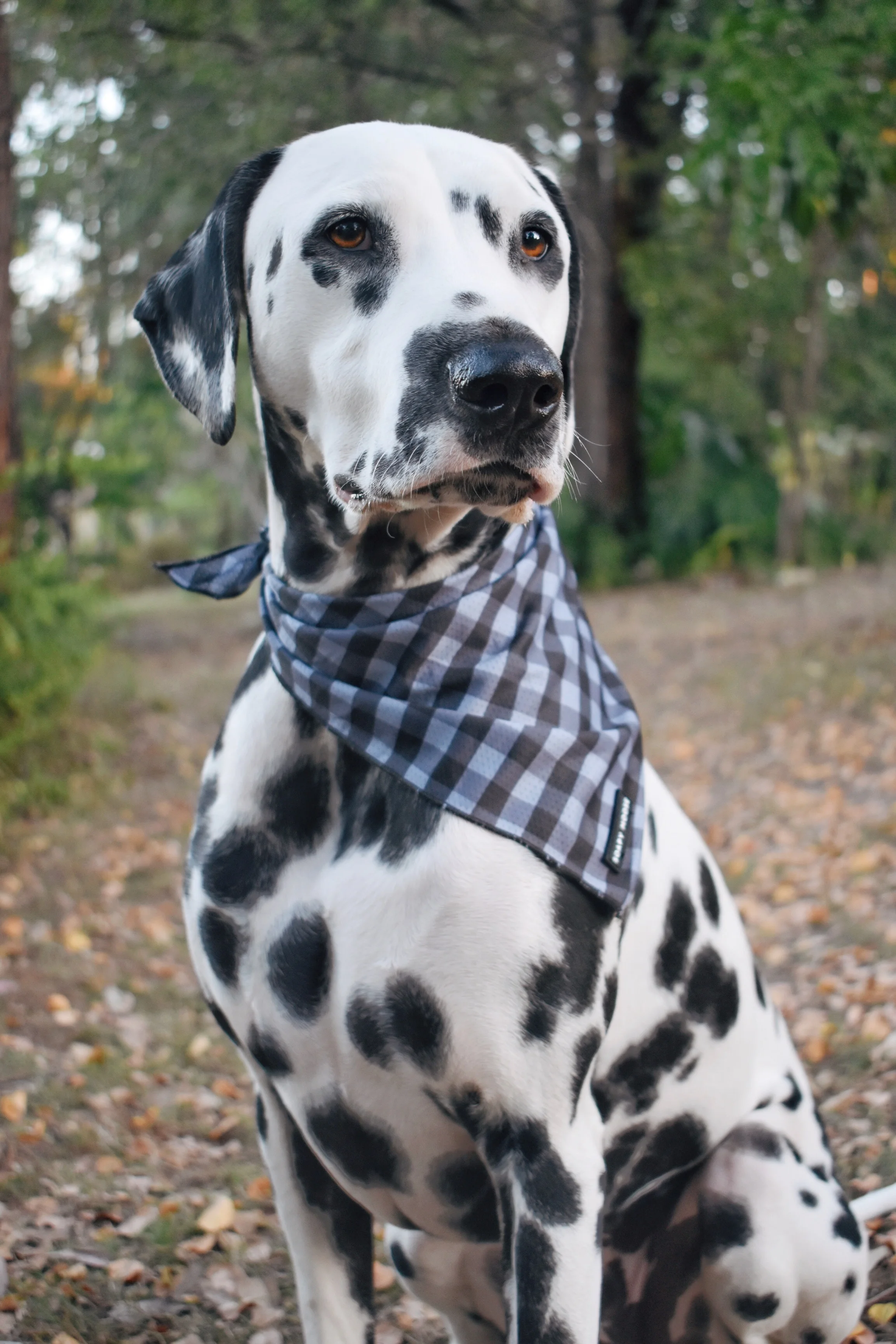 The Manhattan Bandana