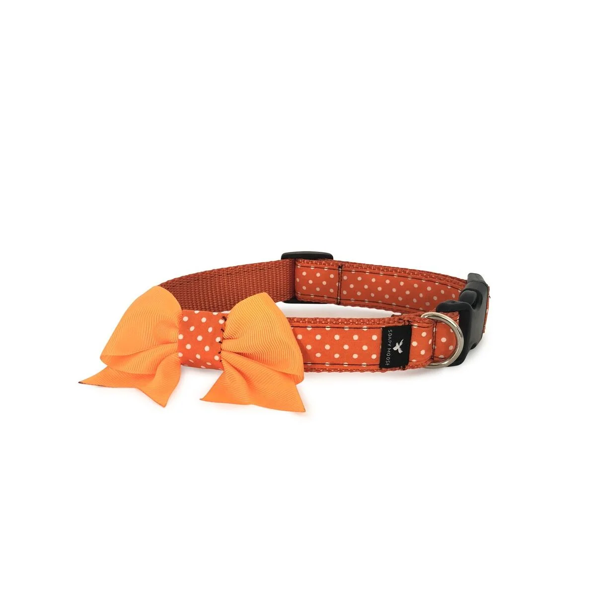 orange1.jpeg
