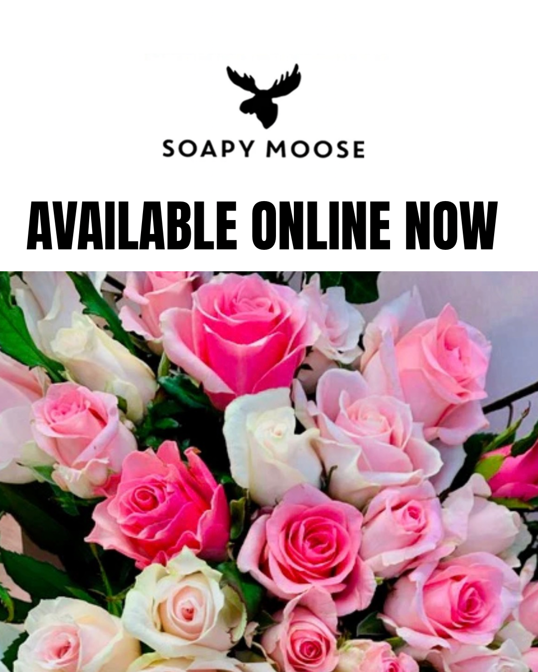 AVAILABLE ONLINE NOW.png