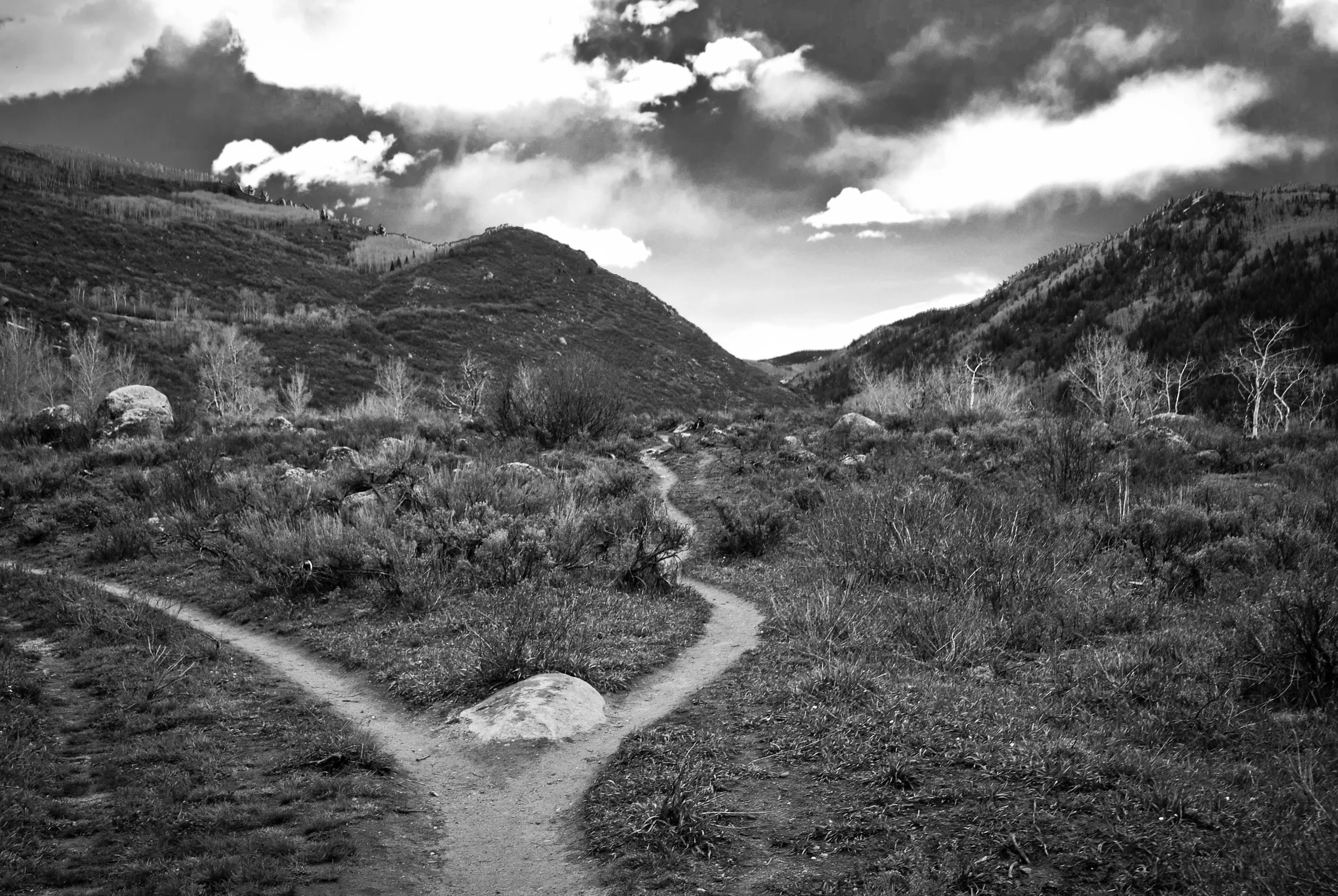DSC_0584.jpg