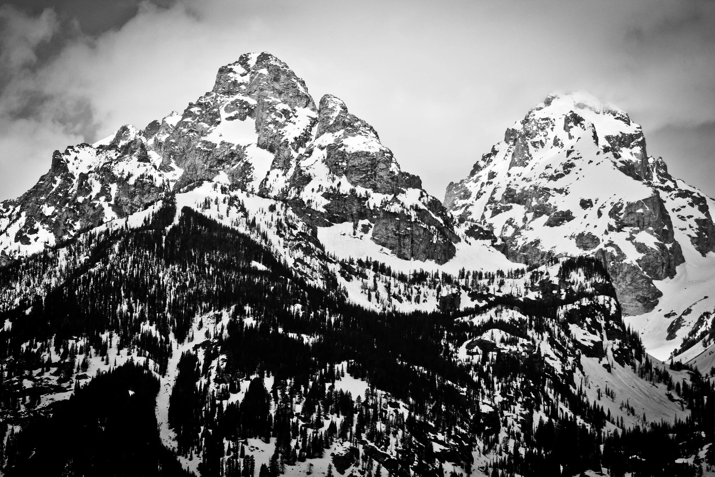 IMG_0467.jpg