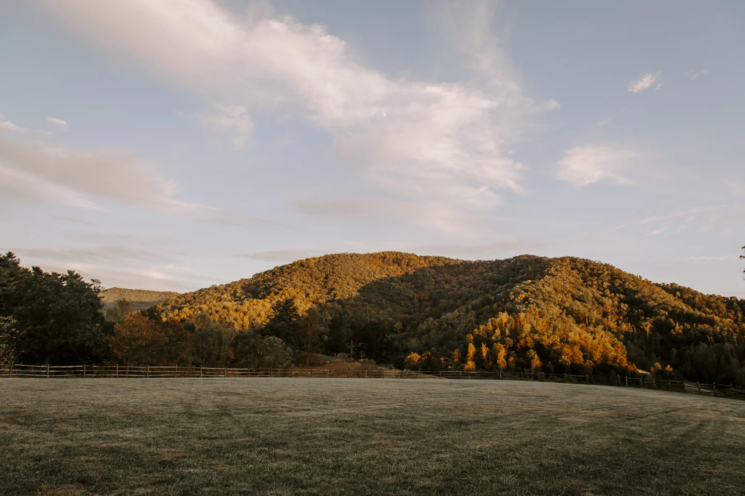 698A7549.jpg