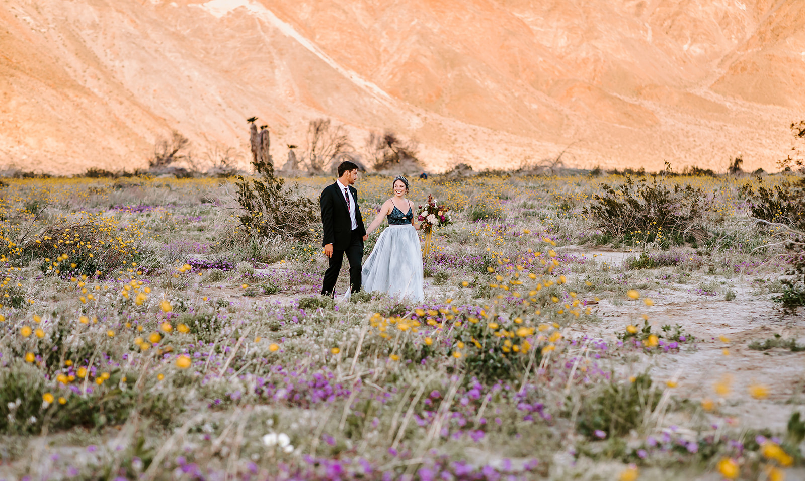 DesertDreams (65 of 100).jpg