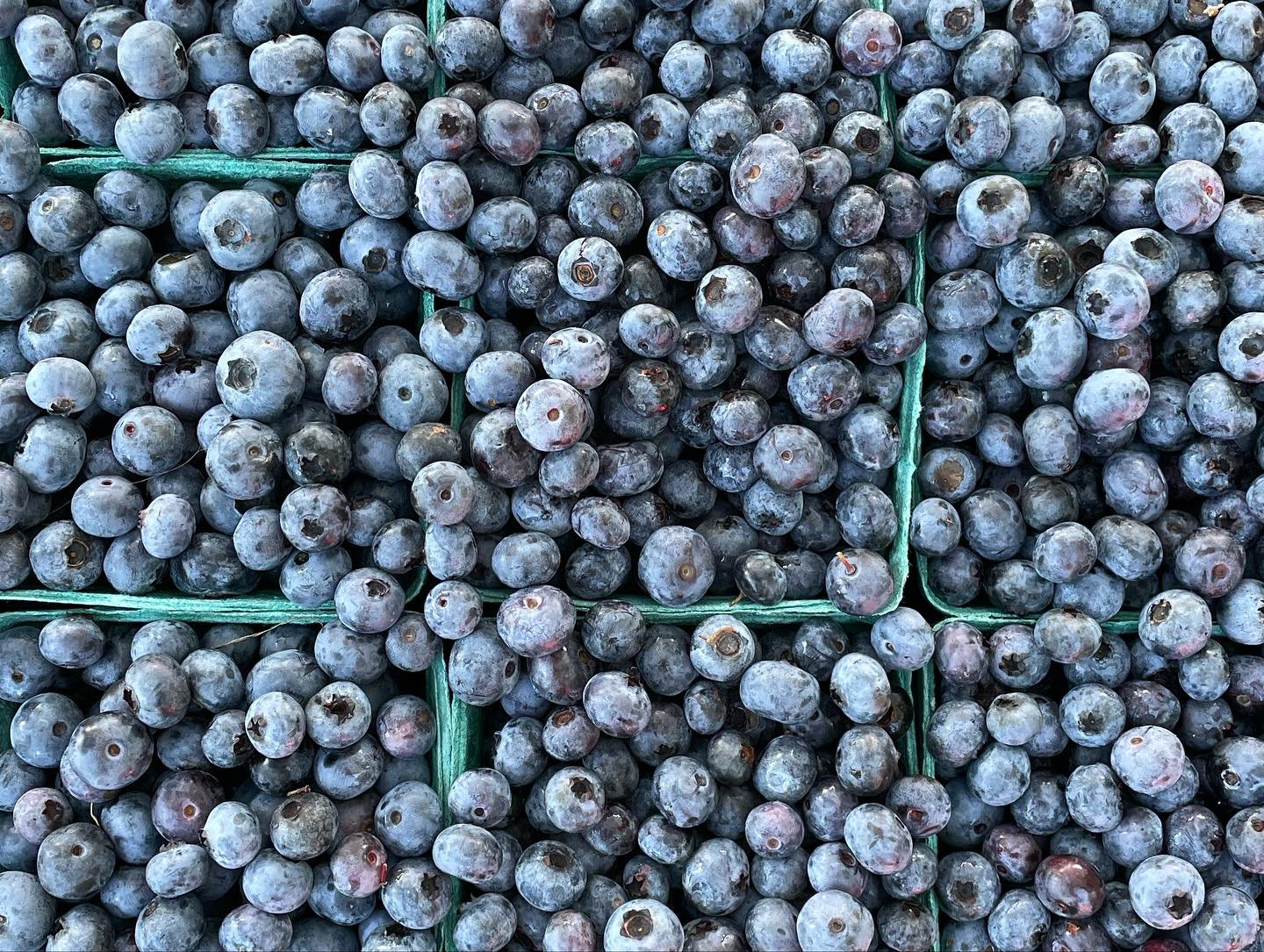 blueberries.jpg