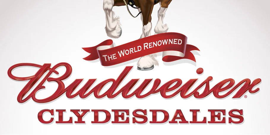 Clydesdale_type.jpg