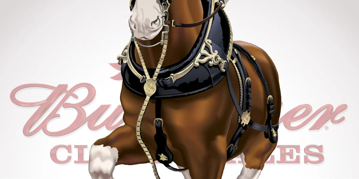 Clydesdale_web2.jpg
