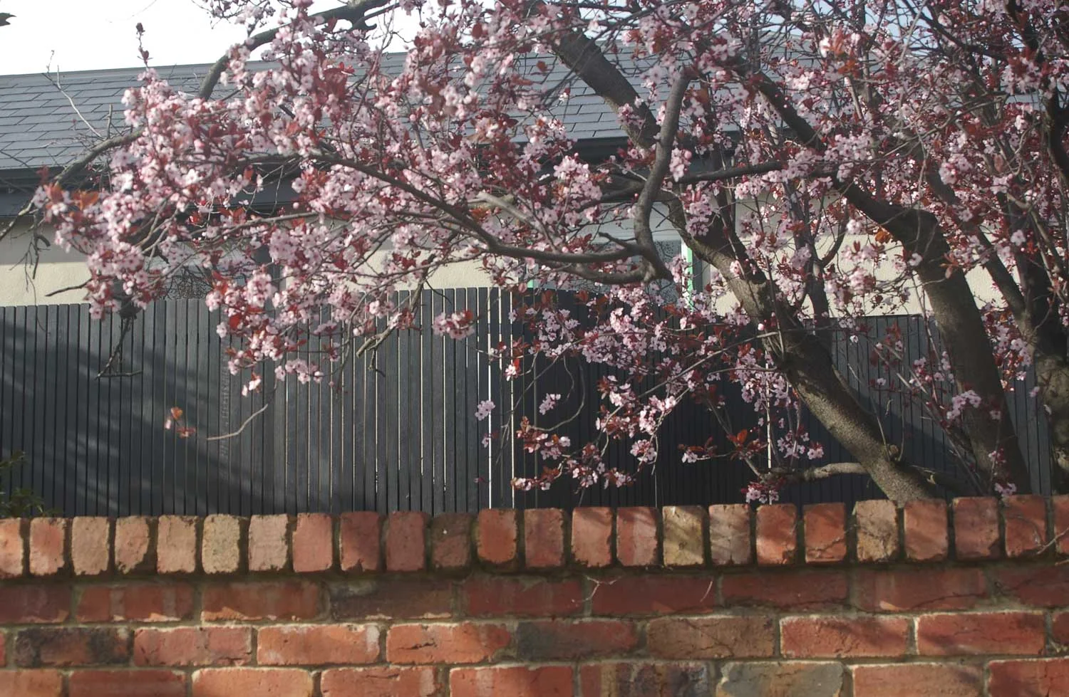 Merton_Facade-3.jpg