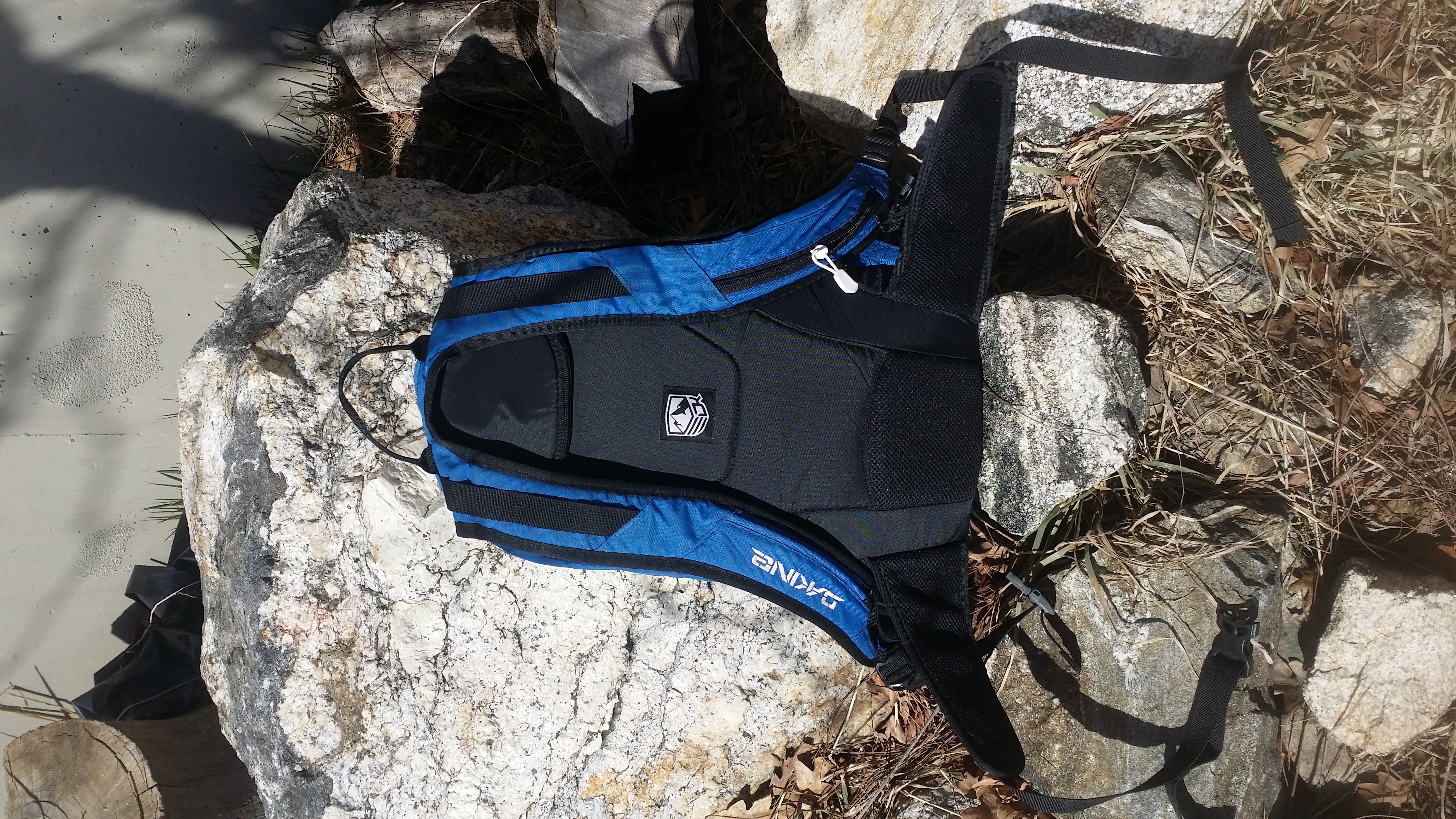 dakine baker pack