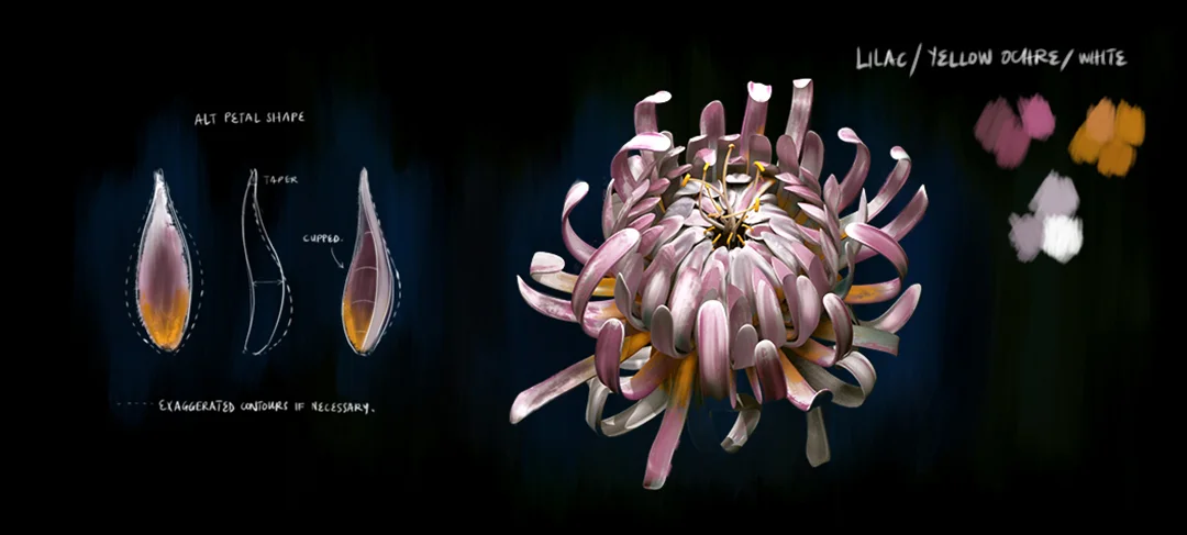 mopo_process_A_1080.jpg