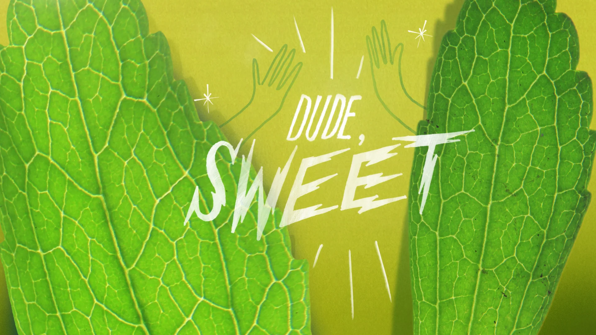 sweet_01.jpg