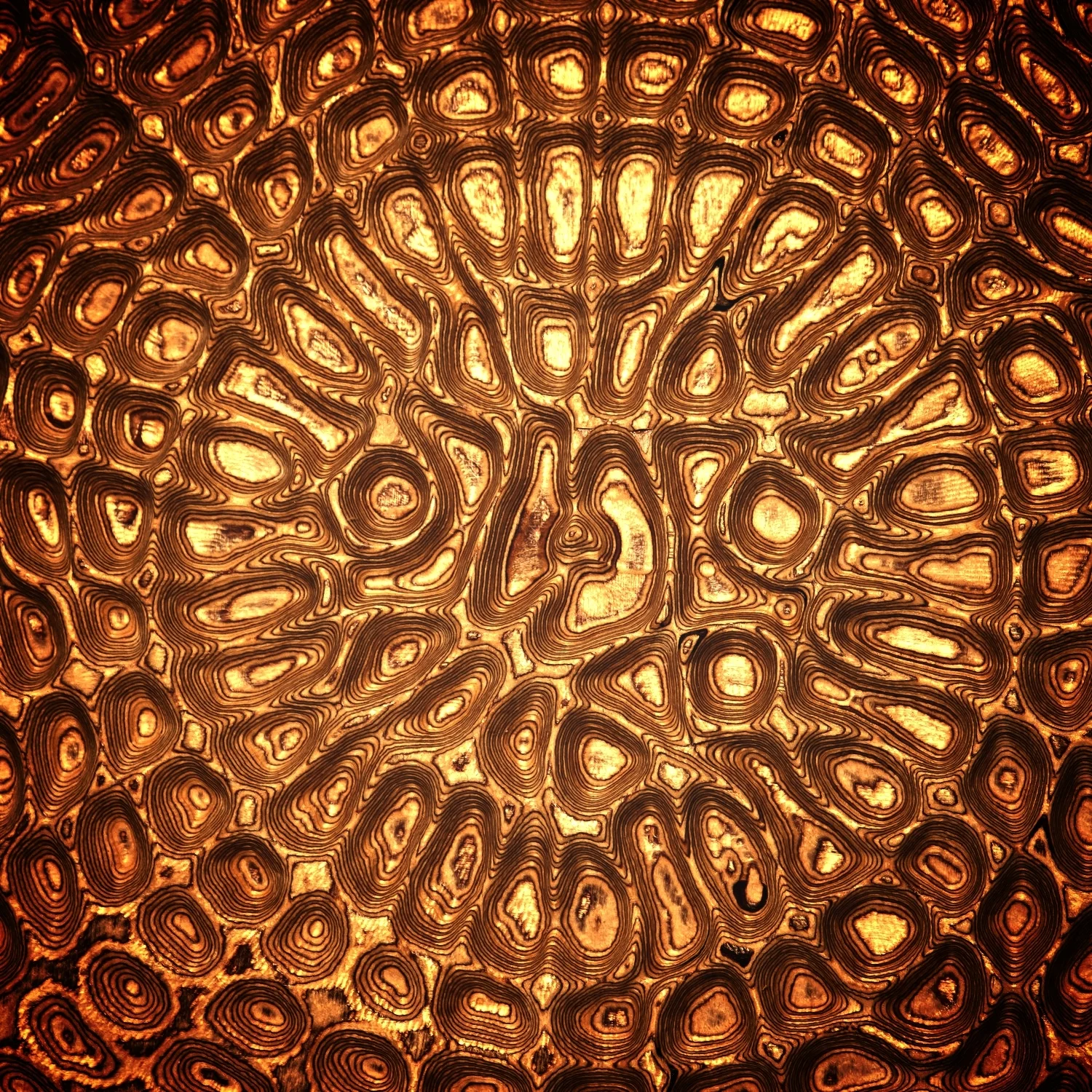 Cymatic 3_1.jpg