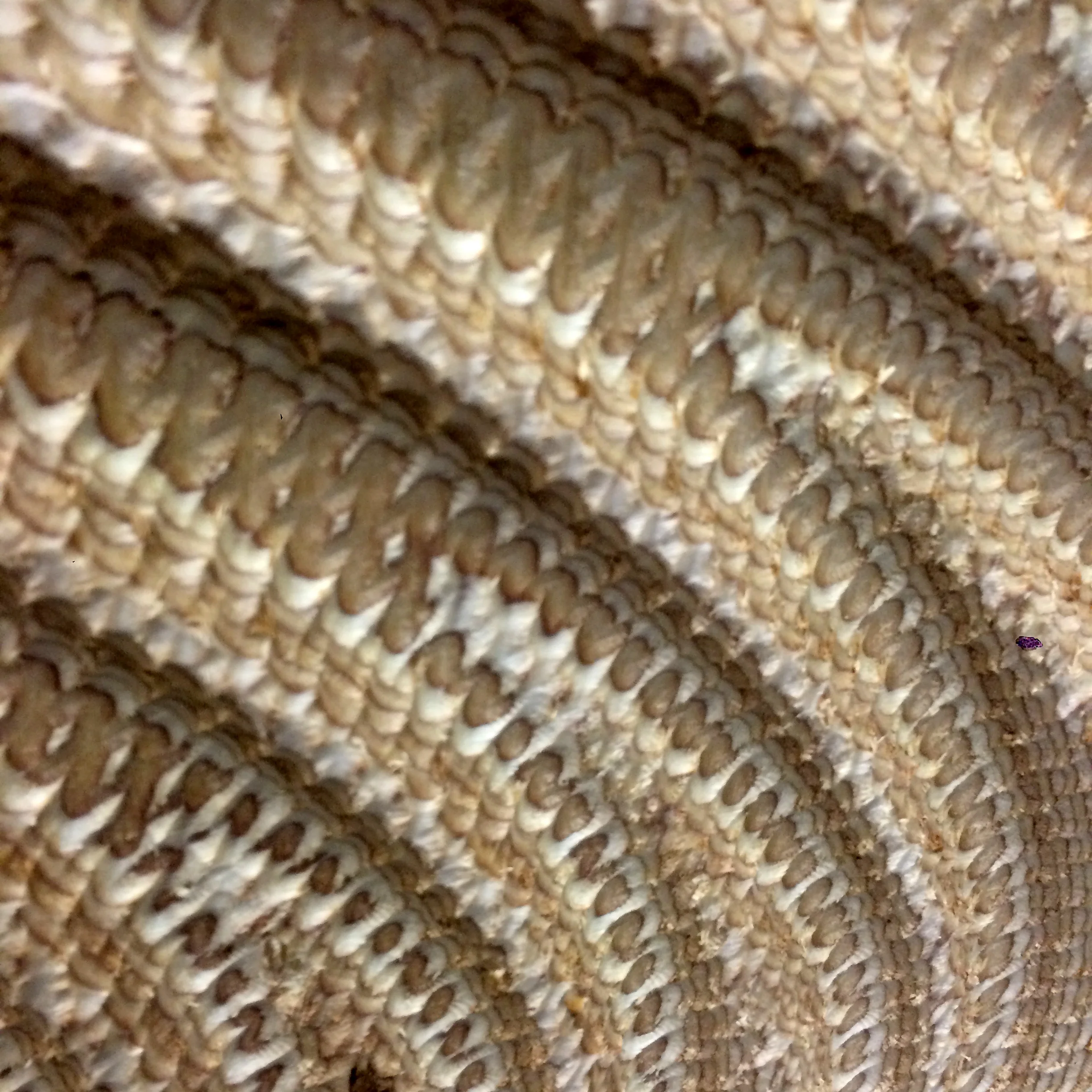 Attraction Web 1.jpg