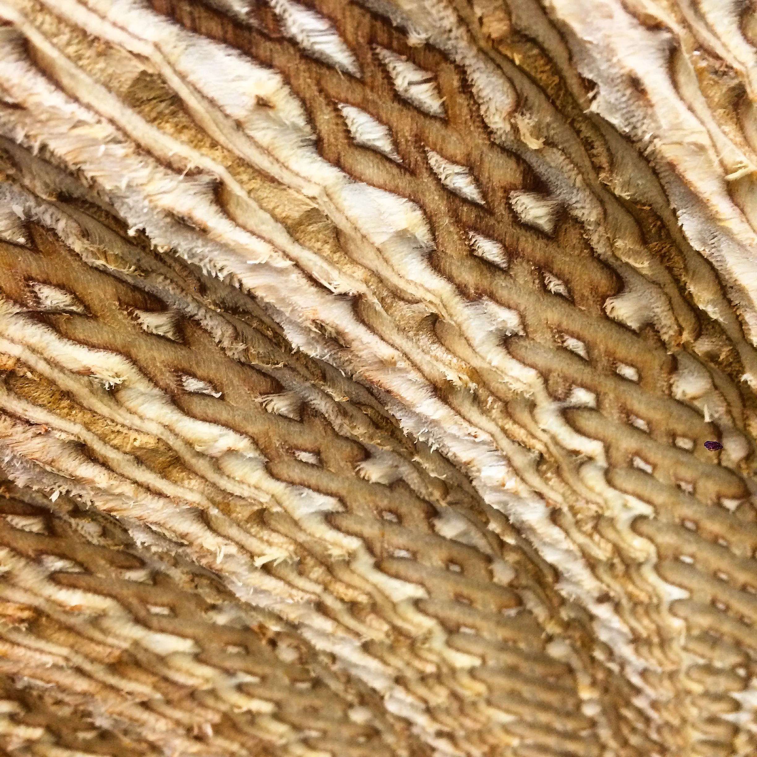 Attraction Web 2.jpg