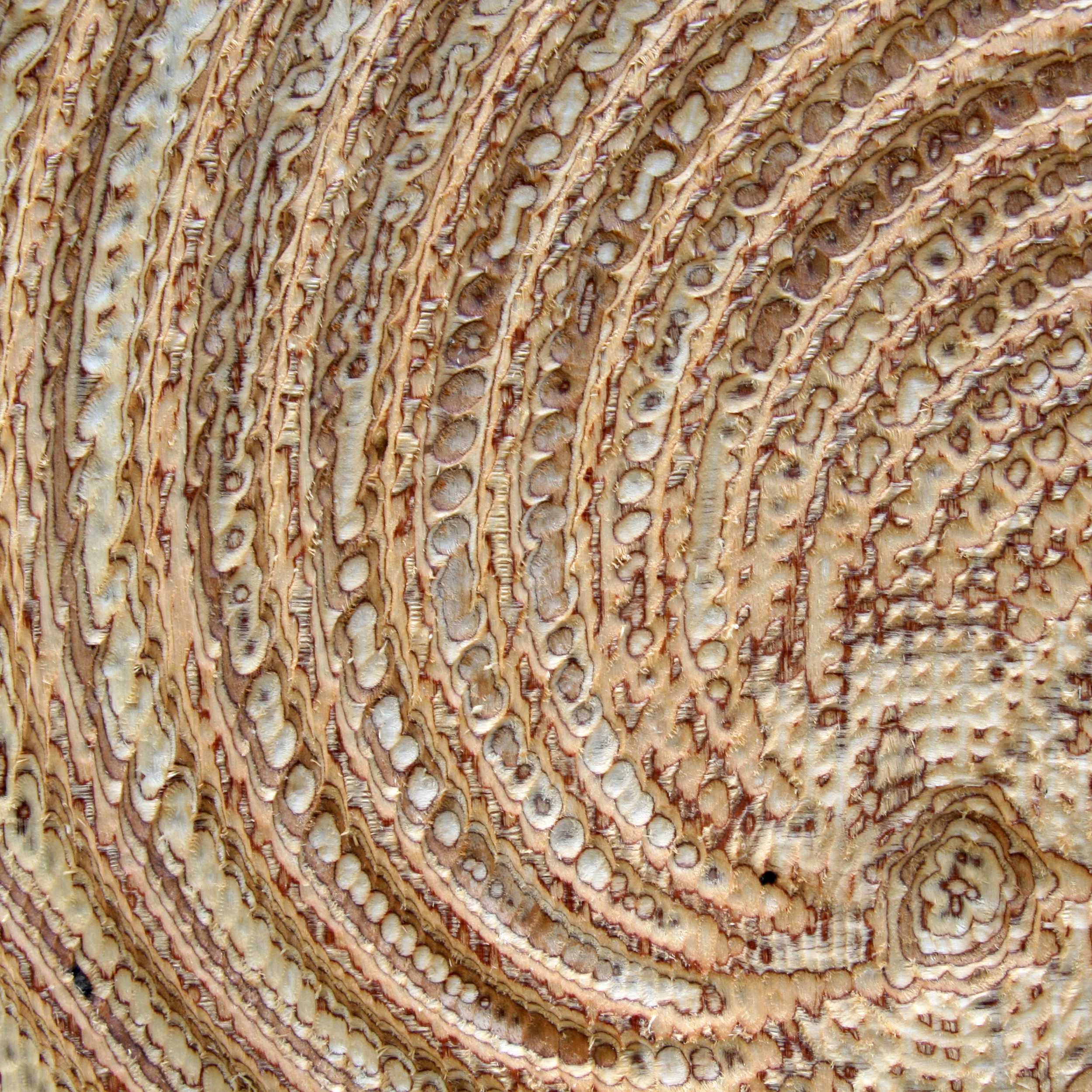 Attraction Web 5.jpg