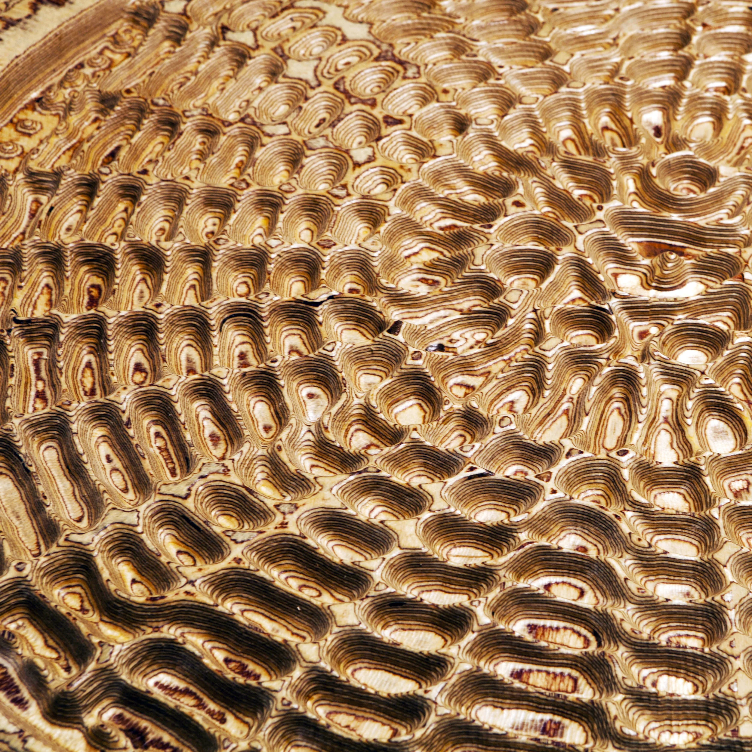 Cymatic Web 2.jpg