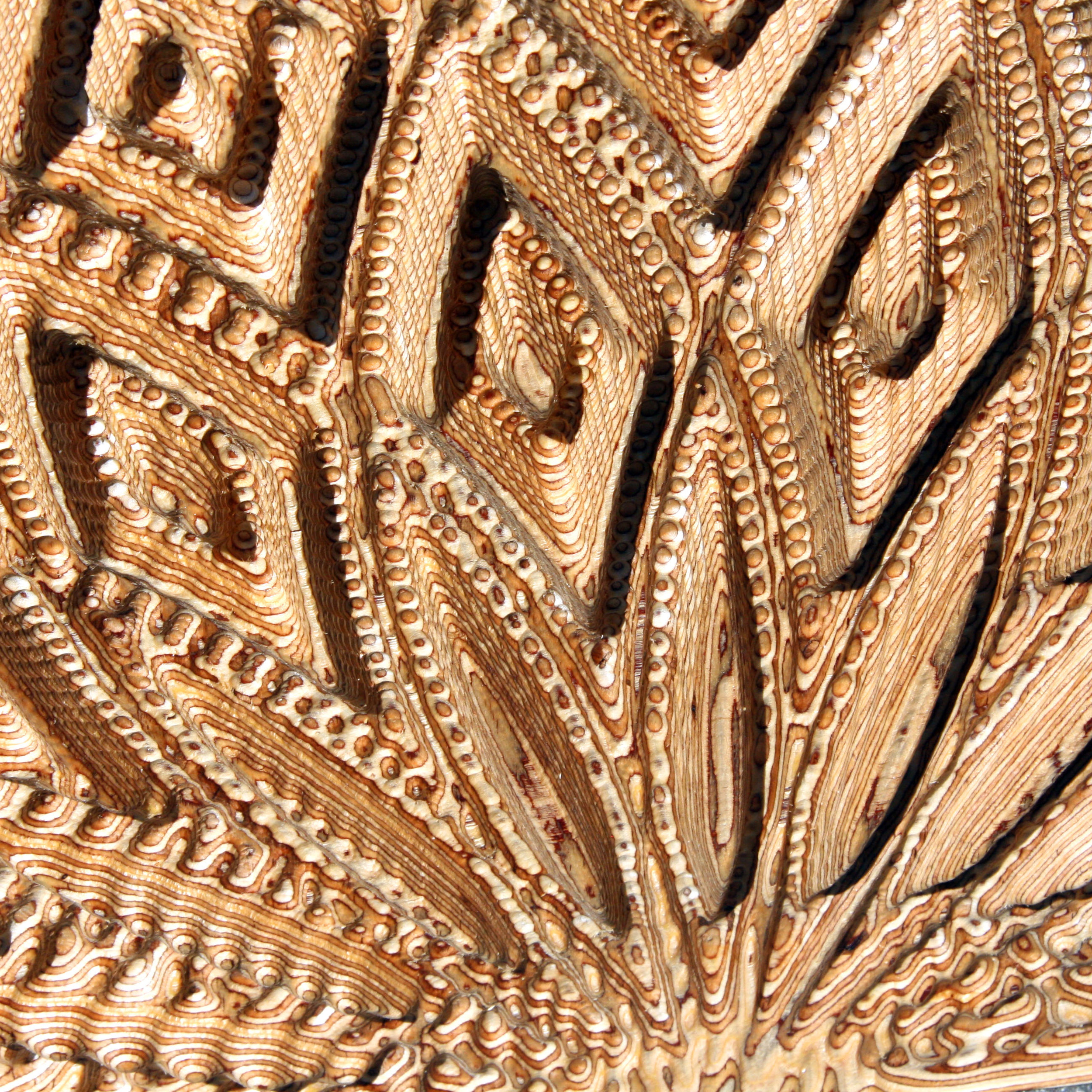 Plywood Flora Web 2.jpg