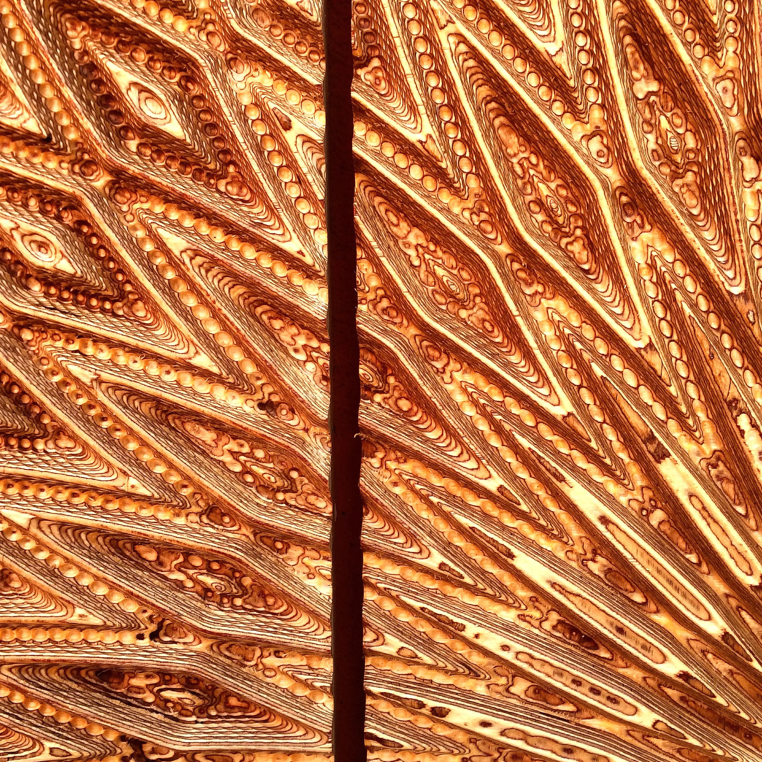 Sunflower Web 3.jpg