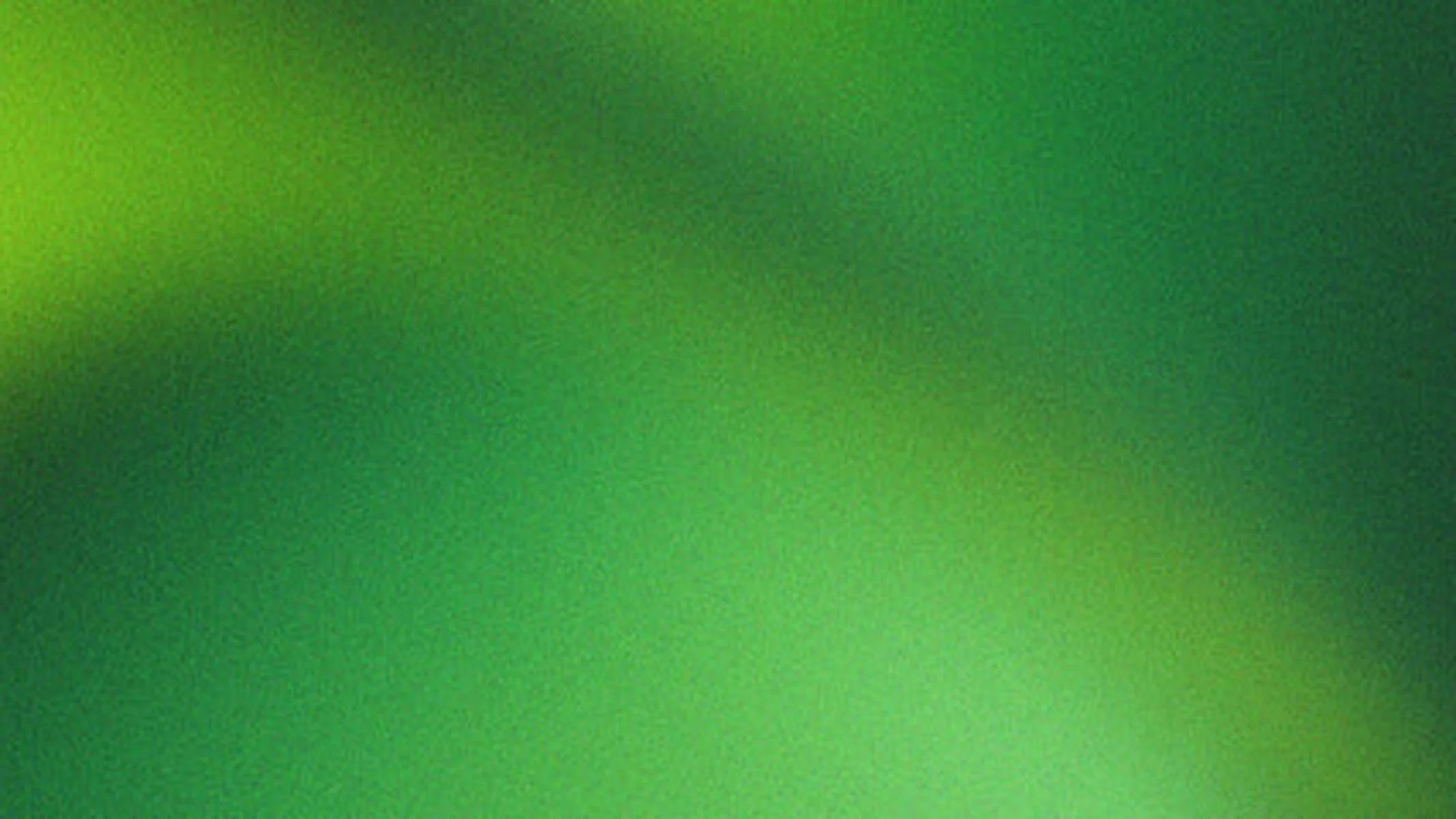 240_F_2019971029_1WQpgCtmRClGfkS821aV4UVONaN3hGEj.jpg